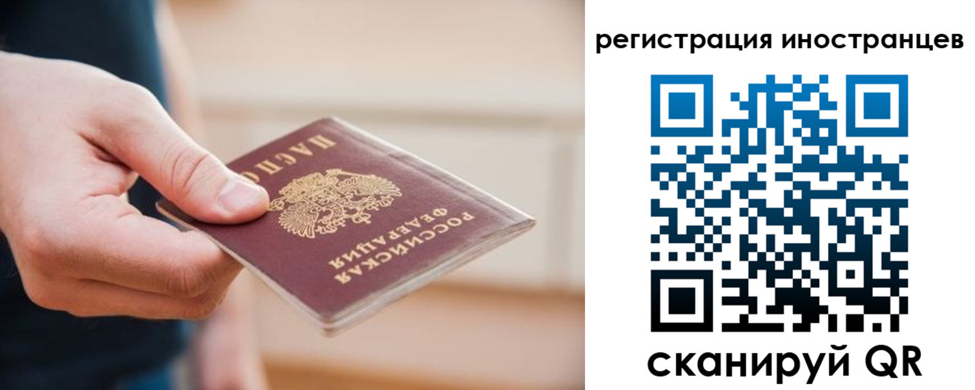 прописка гарантия в Чистополье